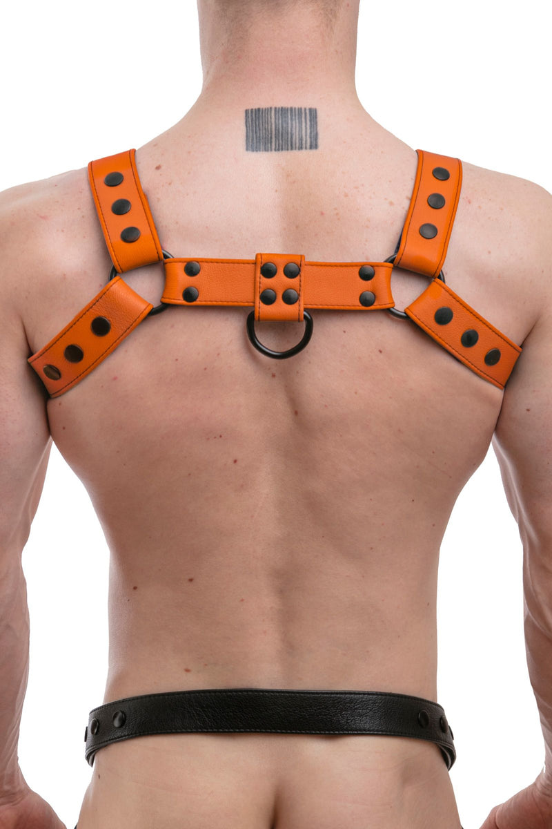 A ginger haired model turned away wearing a 1.5" wide ARMY OF MEN orange leather chest harness with matte black hardware.