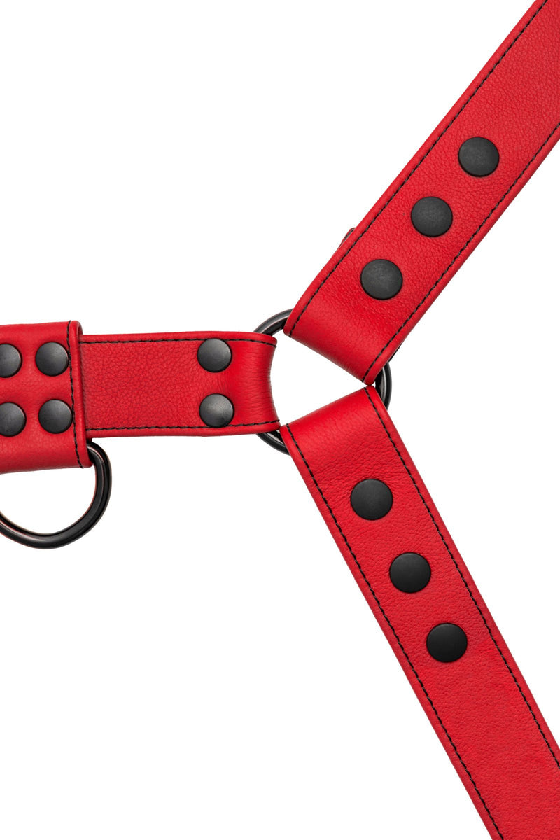 An ARMY OF MEN red leather chest harness with matt black metal rivets, O-rings, and D-rings, laid flat and viewed from above.