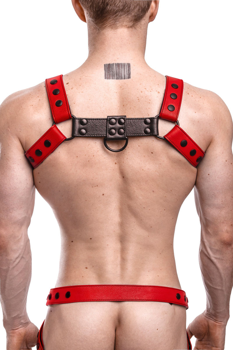 Back view of muscular model wearing a 1.5" wide ARMY OF MEN red and black leather bulldog harness with matte black hardware.