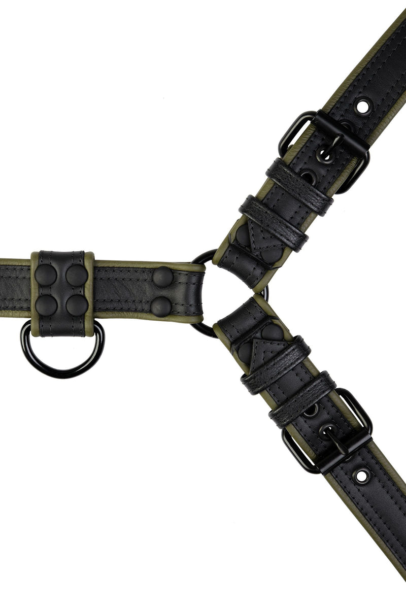 Overhead view of a 1.5" wide ARMY OF MEN army green and black leather bulldog harness with matte black hardware.