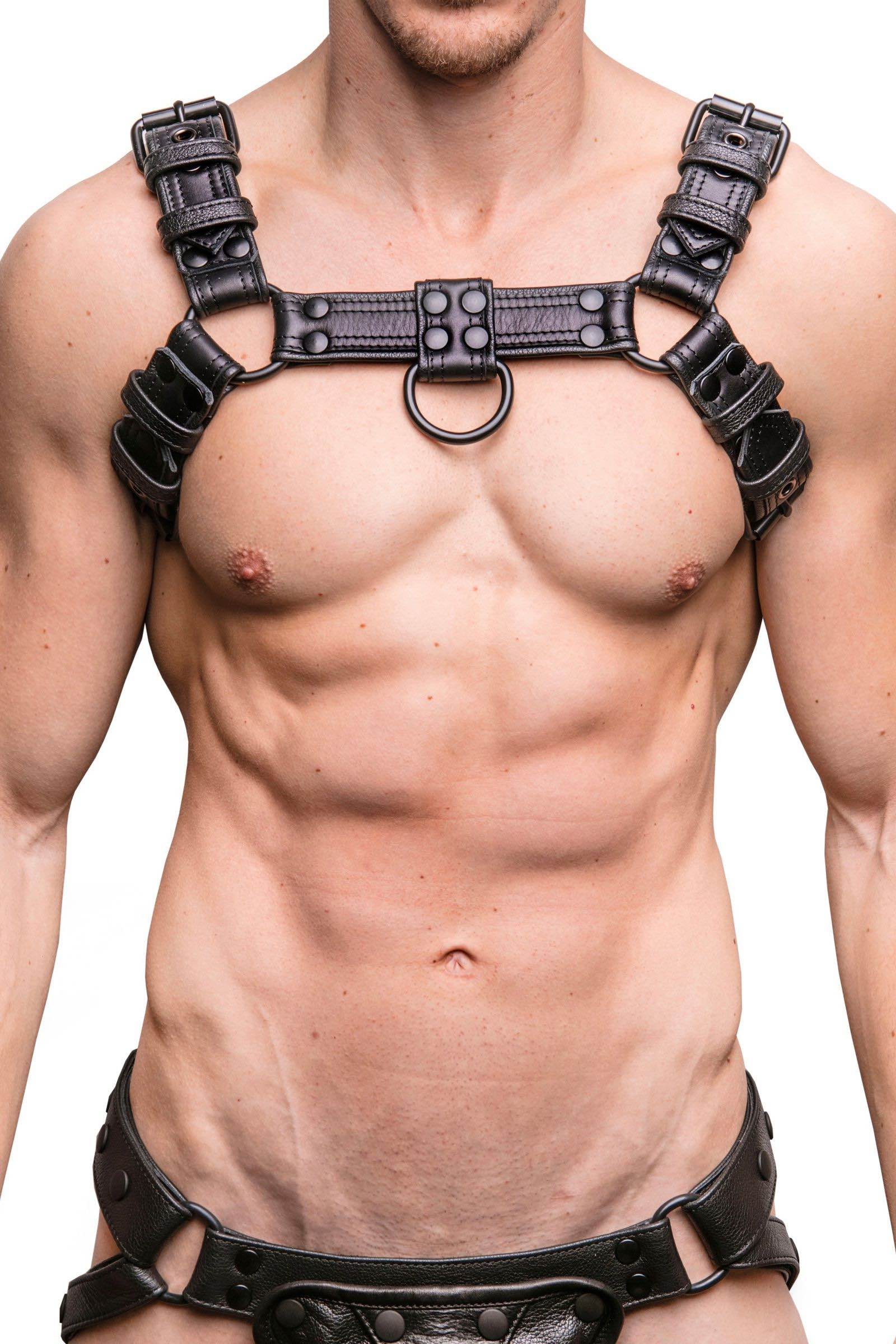 Front view of muscular model in an ARMY OF MEN COMBAT BULLDOG - Black with matte black rivets, buckles, O-rings, and D-rings.