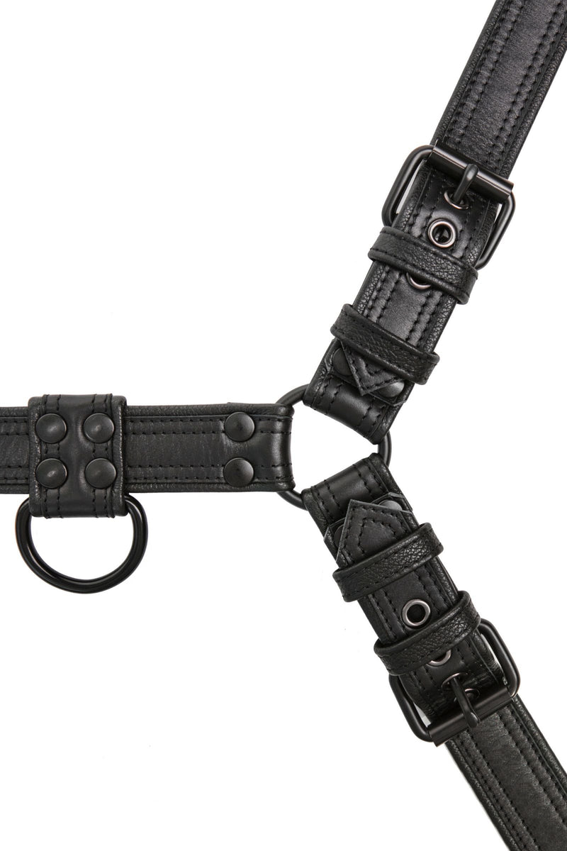 A 1.5" wide ARMY OF MEN COMBAT BULLDOG - Black with matte black buckles, laid flat and viewed from above.