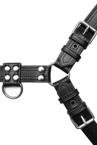 ARMY OF MEN 1.5" wide black leather bulldog harness with stainless steel hardware, laid flat and captured from above.
