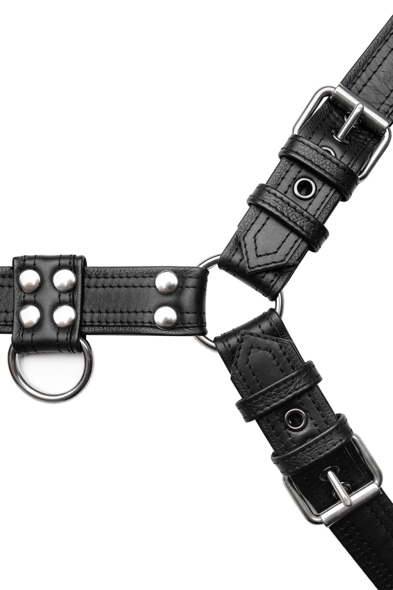 ARMY OF MEN 1.5" wide black leather bulldog harness with stainless steel hardware, laid flat and captured from above.