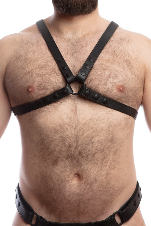 Model wearing a classic leather narrow x harness with black hardware. Front view.