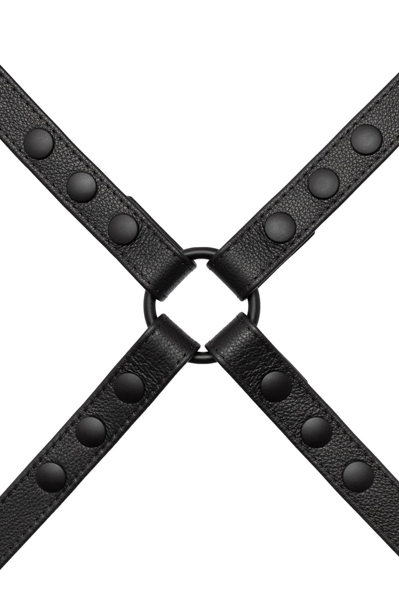Product photo of a classic leather narrow x harness with black hardware. Front view.