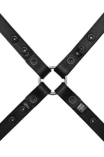 Product photo of a classic leather narrow x harness with stainless steel hardware. Back view.