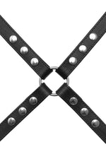 Product photo of a classic leather narrow x harness with stainless steel hardware. Front view.