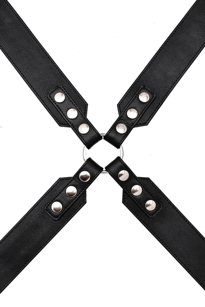 Overhead view of a 2" wide ARMY OF MEN SERGEANT X HARNESS - Stainless Steel with stainless steel snaps, and O-rings.
