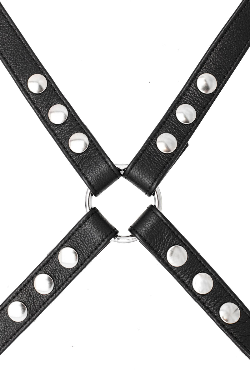 Flat lay view of a 1" wide ARMY OF MEN SHOULDER HARNESS - Stainless Steel with stainless steel snaps, and O-ring.