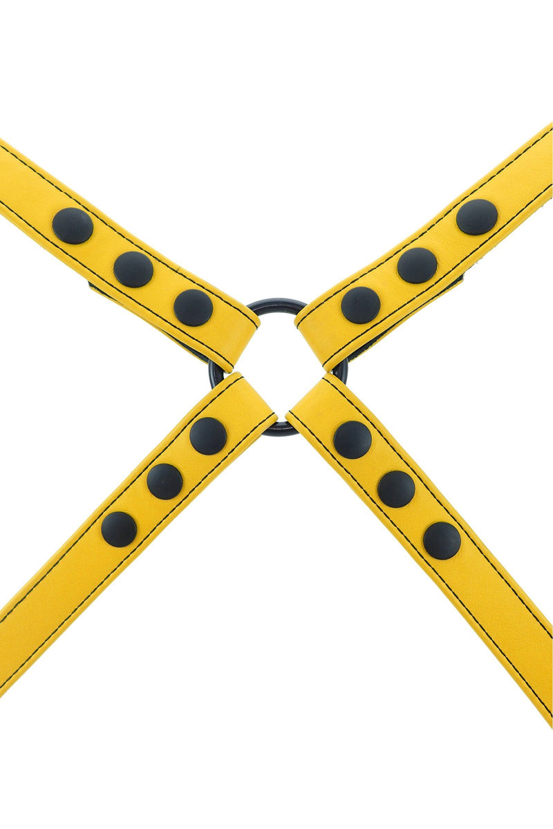 ARMY OF MEN 1" wide yellow leather harness with matte black hardware, laid flat and viewed from above.