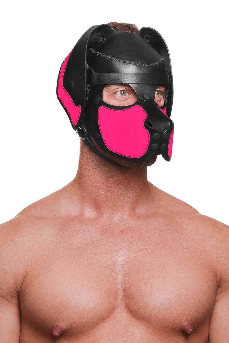 Framed chest-up at a subtle diagonal, the muscular male model is styled in a leather pup hood, with neon pink ears and snout.