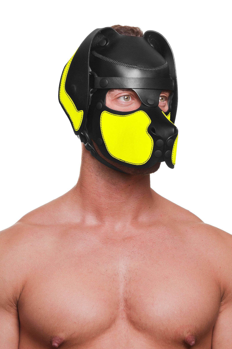 Muscular male model from the chest up, in leather pup hood with fluorescent yellow ears and snout. Three-quarter pose.