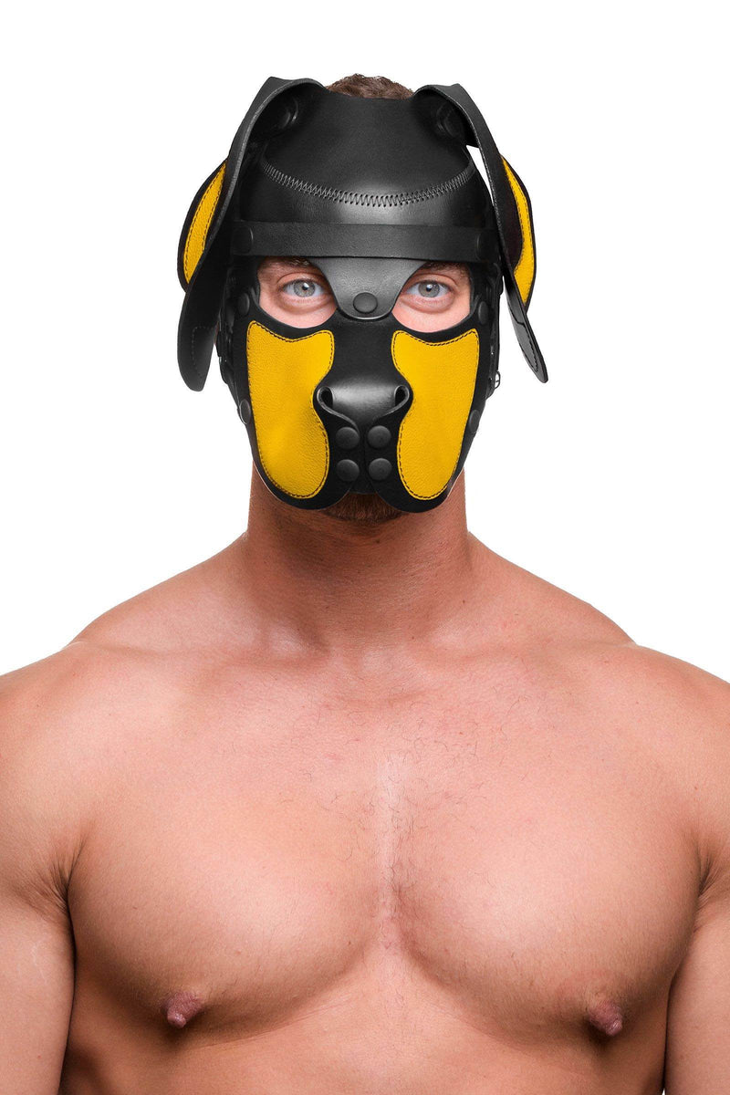 Front view of a male model styled in an ARMY OF MEN black leather pup hood, with yellow ears, snout and matte black hardware.