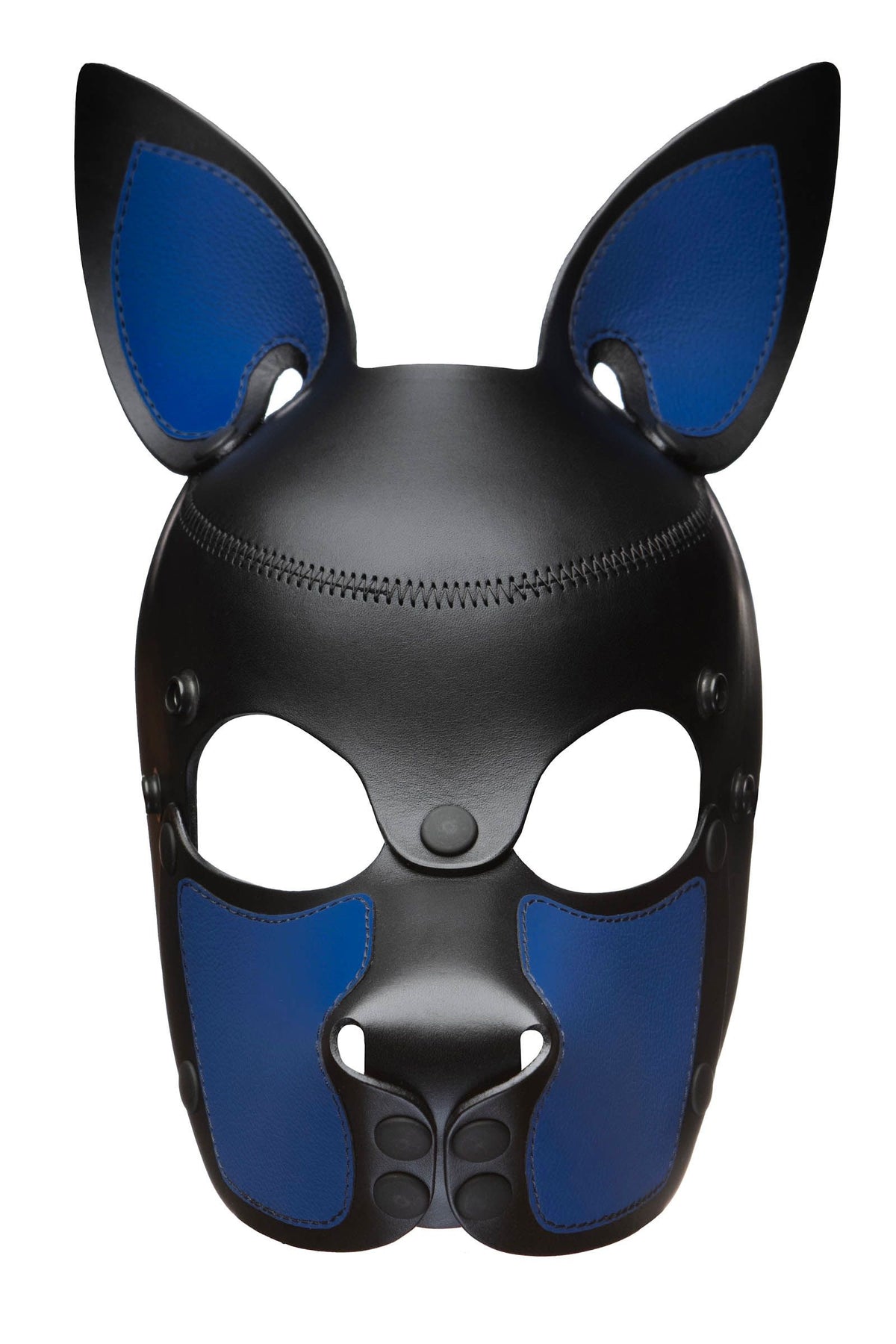 Front view of an Australian-made leather pup mask with blue ears and snout, with durable matte black metal rivets.