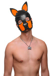 Cute toned model with his head quizzically tilted, is wearing a leather pup hood, with fluorescent orange ears and snout.