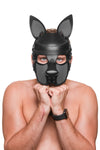 Facing the lens, a cutely posed male model in an adorable all leather black and grey pup hood, with matte black hardware.