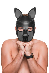 Facing the lens, a cutely posed male model in an adorable all leather black and grey pup hood, with matte black hardware.