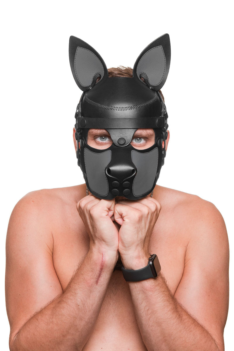 Facing the lens, a cutely posed male model in an adorable all leather black and grey pup hood, with matte black hardware.