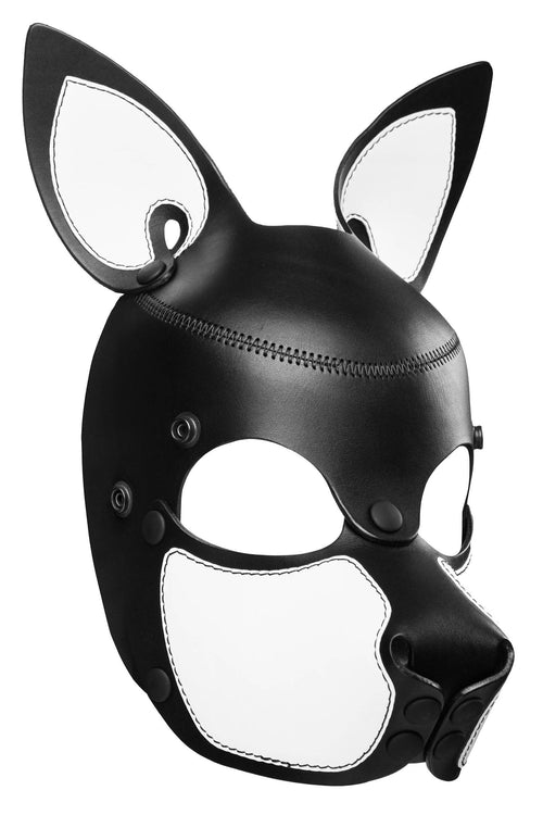 Three-quarter angle of a leather ARMY OF MEN pup mask with white ears and snout, and durable black metal rivets and snaps.