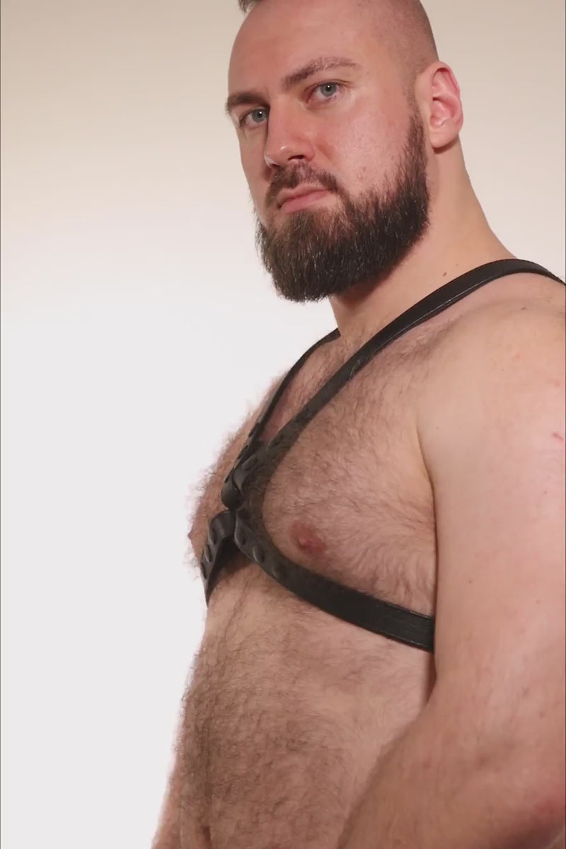 Video of a model wearing a classic leather narrow x harness with black hardware