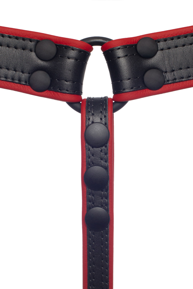 View of the back of a leather lined ARMY OF MEN COMBAT THONG - Red with matte black rivets, snaps, and O-rings.