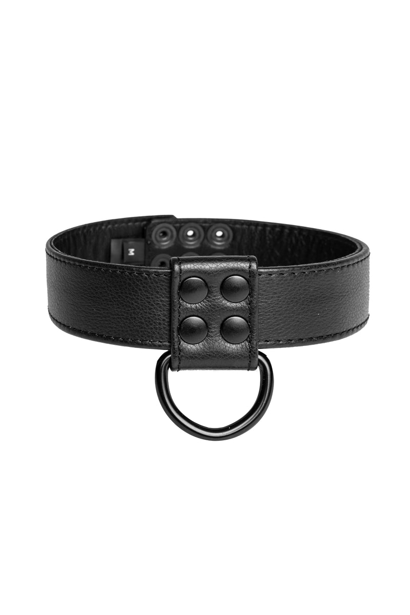 Black leather D-ring collar