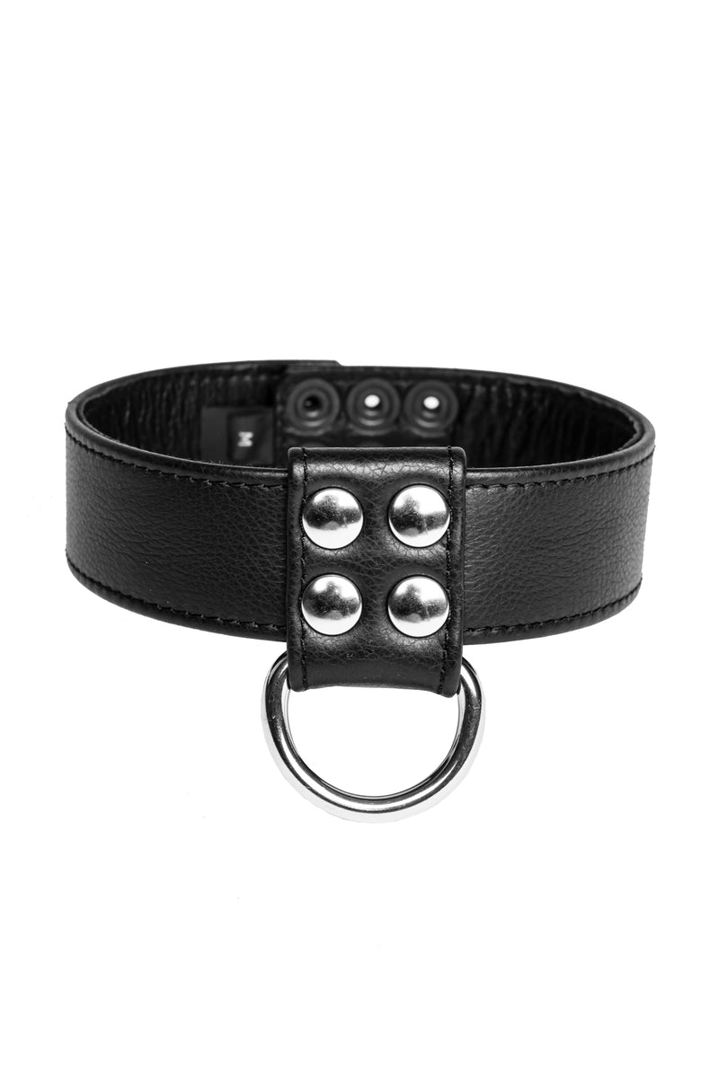 Black leather and stainless steel D-ring collar
