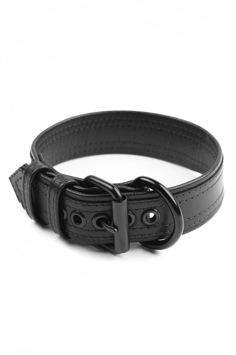 1.5" black leather combat pup collar with matt black hardware
