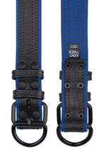 Two 1.5" black and blue leather pup collars with matt black buckles and D-rings