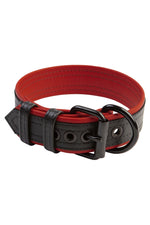 1.5" black and red leather pup collar with matt black buckle and D-ring