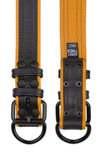 Two 1.5" black and yellow leather pup collars with matt black buckles and D-rings