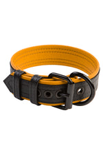 1.5" black and yellow leather pup collar with matt black buckle and D-ring