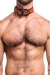 Model wearing fluro orange stripe leather pup collar