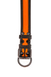 Fluro orange stripe leather pup collar