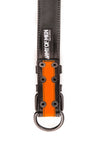 Fluro orange stripe leather pup collar lining