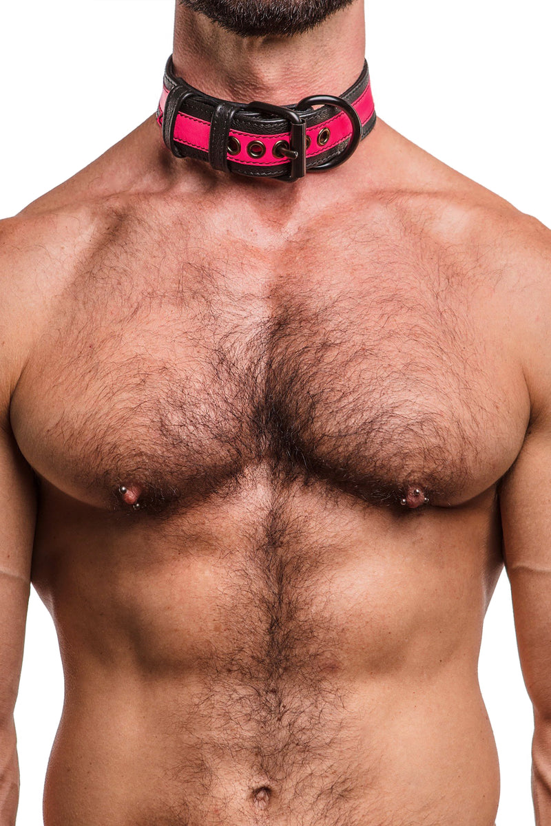 Model wearing fluro pink stripe leather pup collar
