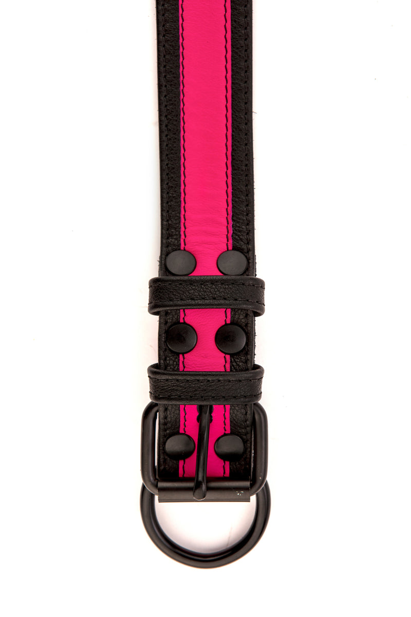 Fluro pink stripe leather pup collar
