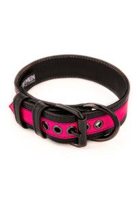 Fluro pink stripe leather pup collar