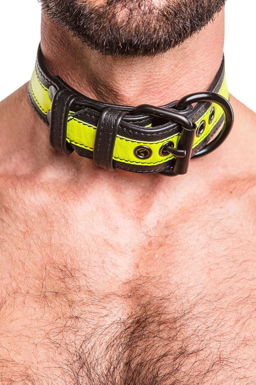 Model wearing fluro yellow stripe leather pup collar
