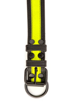 Fluro yellow stripe leather pup collar