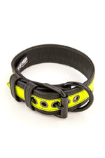 Fluro yellow stripe leather pup collar
