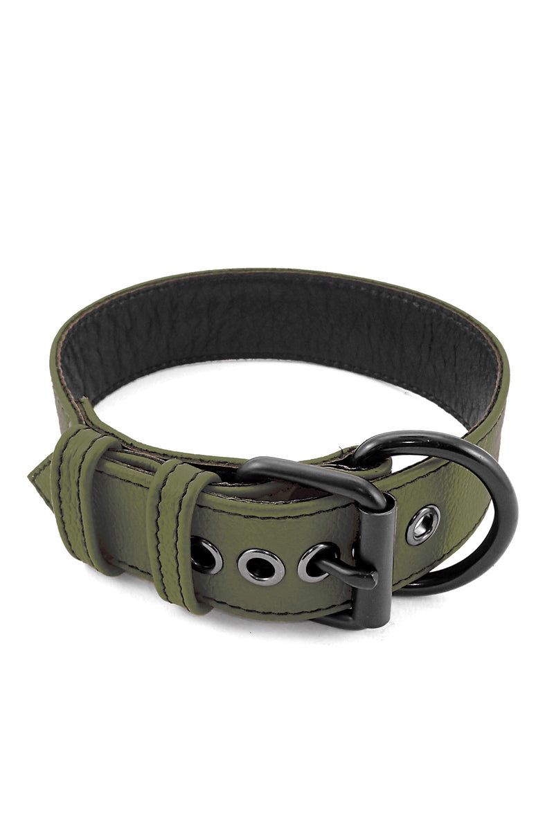 Army green leather pup collar