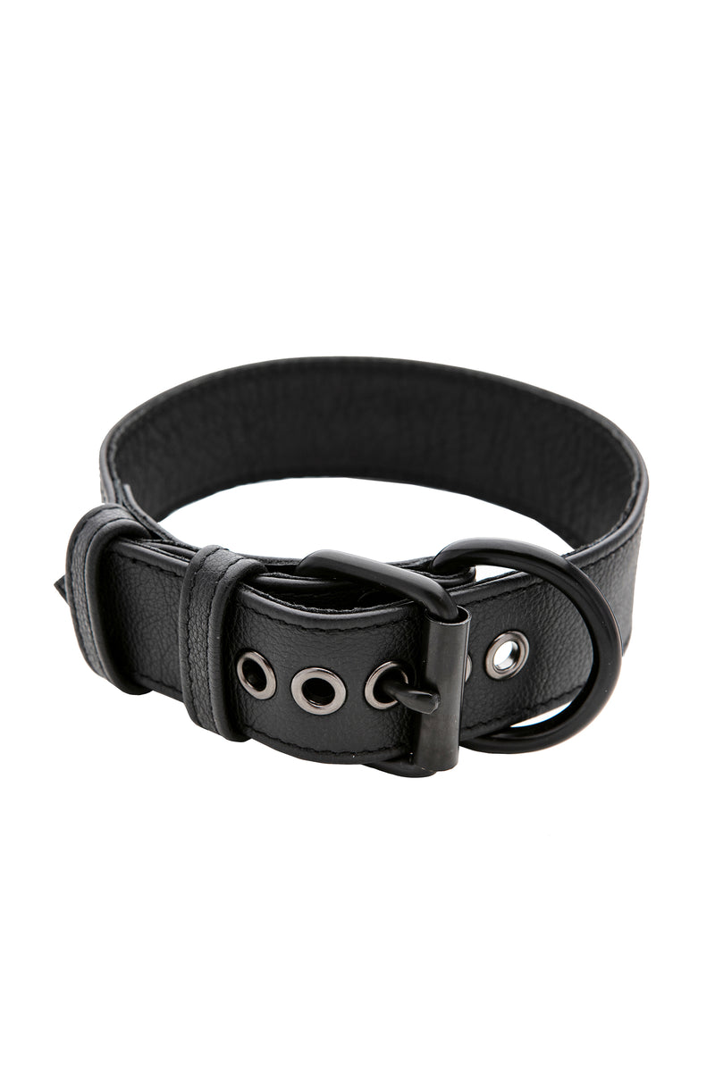 Black leather pup collar with matt black buckle and D-ring