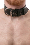 Model wearing black leather pup collar with stainless steel buckle and D-ring