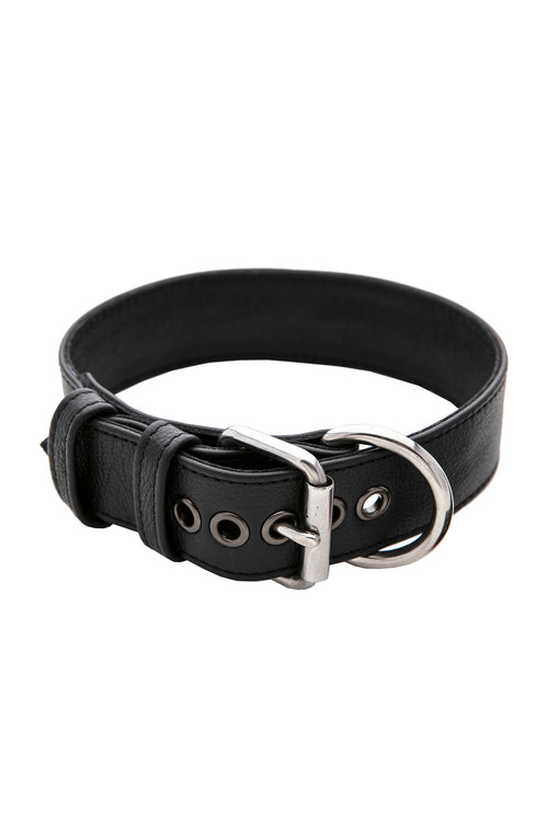 Black leather pup collar with stainless steel buckle and D-ring