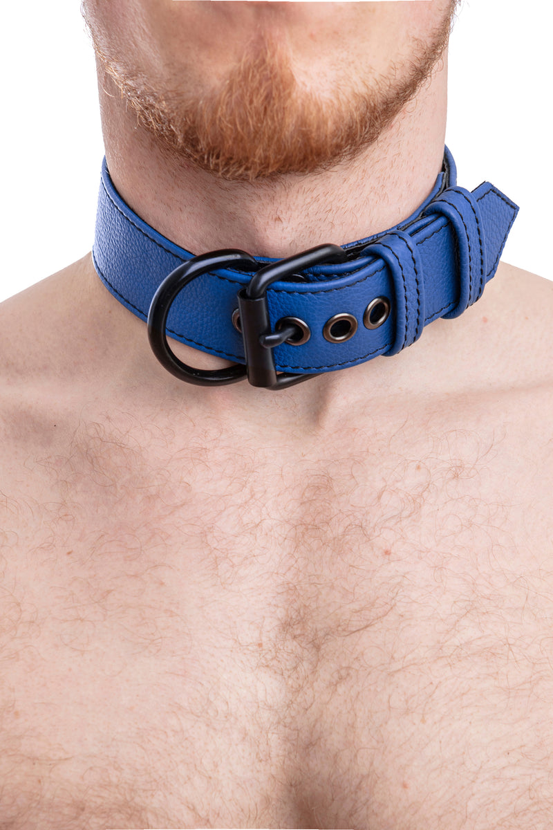 Model wearing blue leather pup collar
