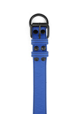 Blue leather pup collar