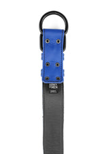 Blue leather pup collar lining