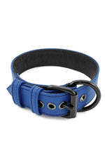 Blue leather pup collar